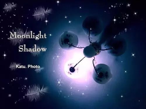 天籁之音moonlightshadow月影下的祈祷