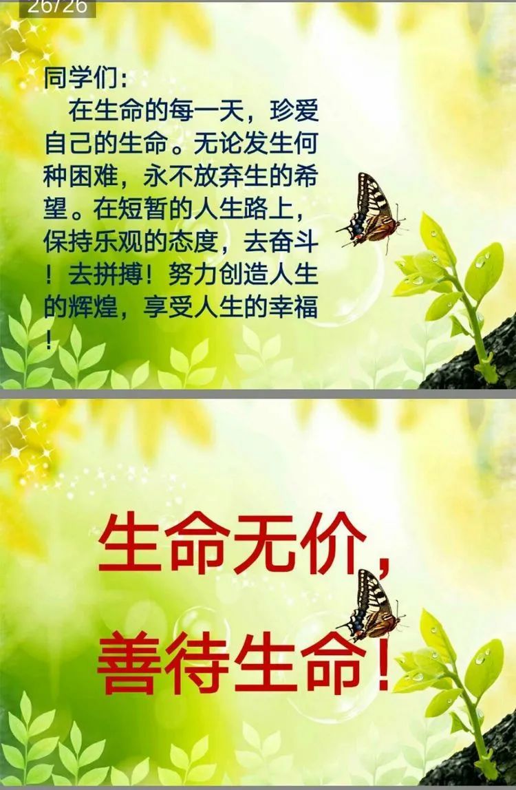 生命教育珍爱生命绽放精彩