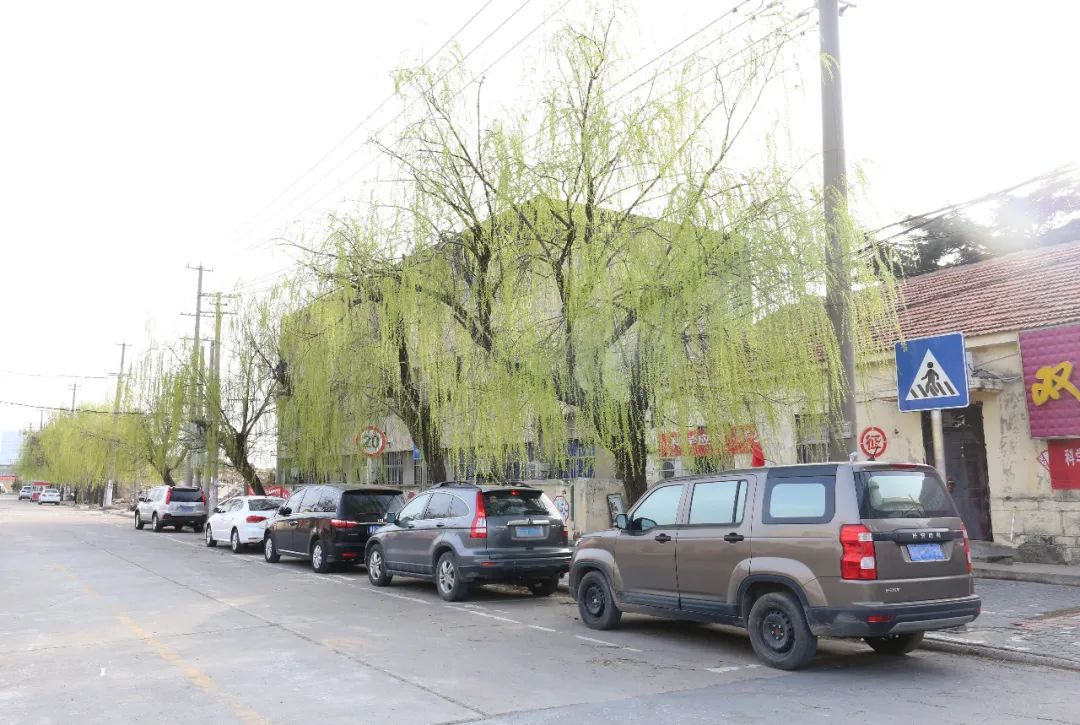 夺取双胜利猴嘴街道3月里的猴嘴