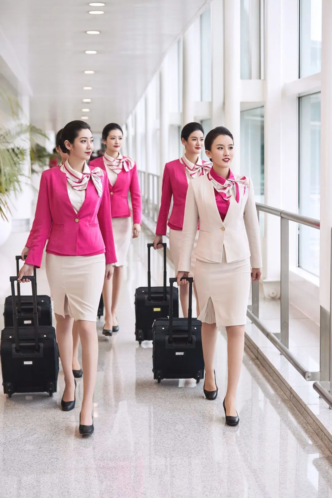 为爱发声,寻迹萧然61我身边的巾帼英雄故事(11)——浙江长龙航空