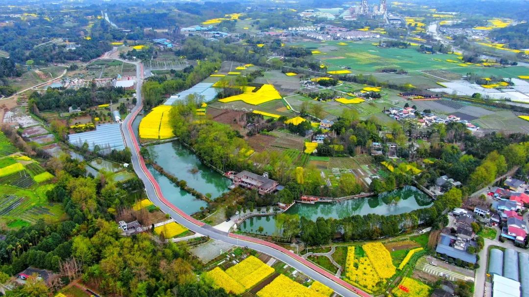美| 阳春三月,航拍都江堰城市田园风光!