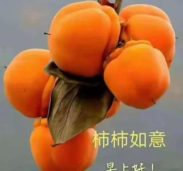 早安祝福美图早上好暖心句子