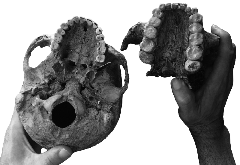 环境变化决定人类饮食新的种植和饲养方式正带来新风险