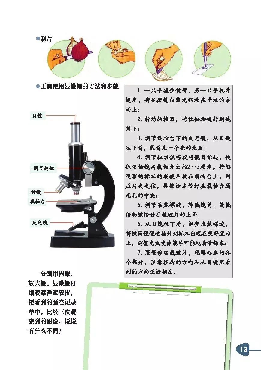 学生们还将研究放大镜的放大倍数