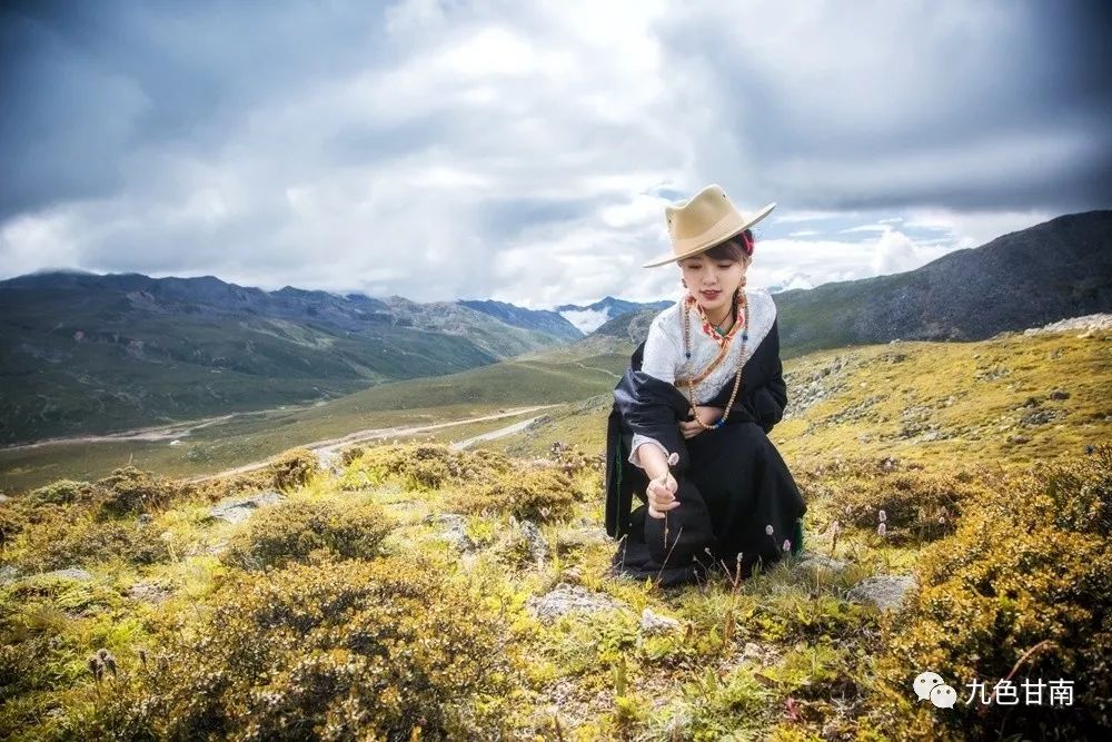 姑娘如花甘南相衬