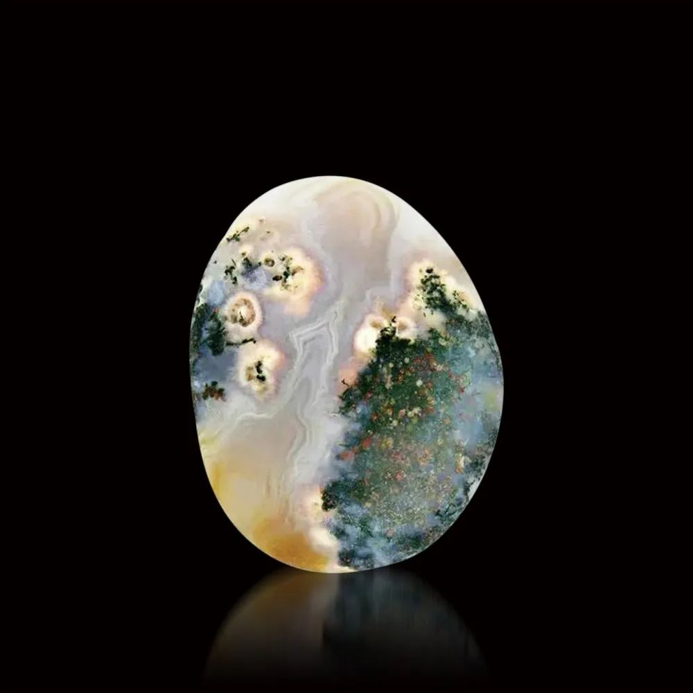 ݳݺ,껨._껨ʯ