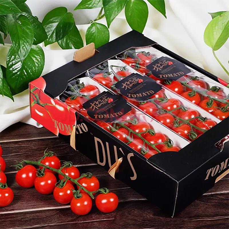 近日山西省省长林武莅临杜氏番茄考察指导