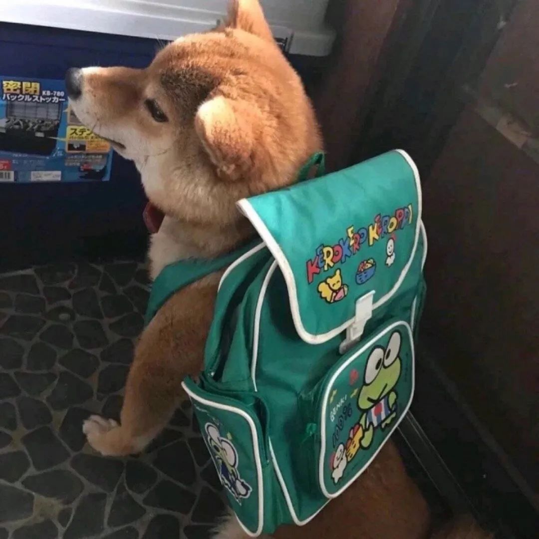 【沙雕头像】空你几哇瓦大喜拿马 精神小伙_个头