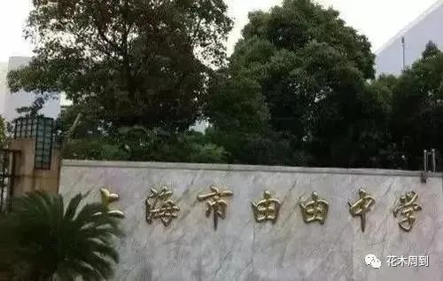 由由中学更名为「进才实验中学南校」,家门口的好学校又多了一所_进才中学