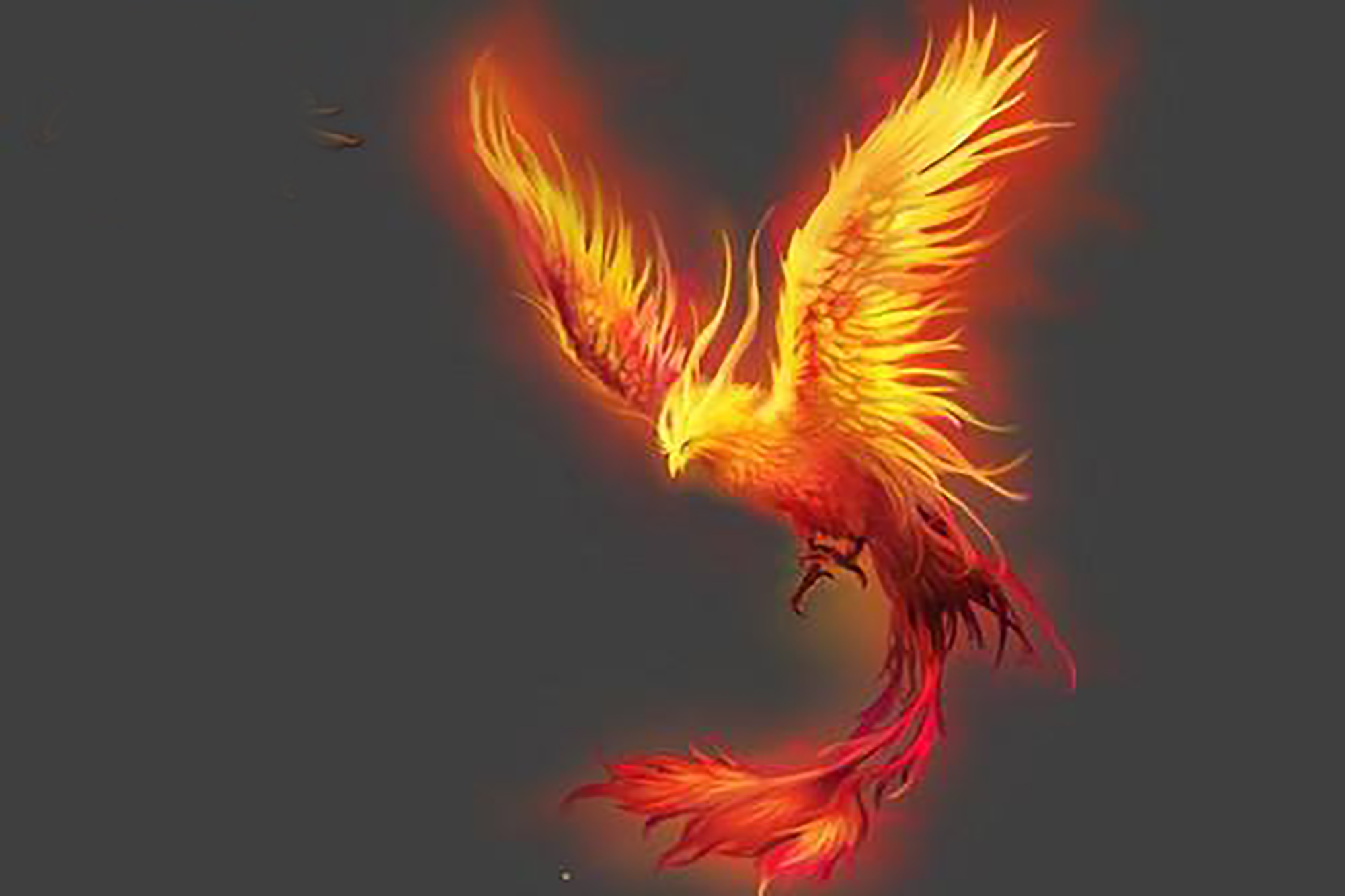 那金镶玉正担心王正鸣领了金凤去,见他竟然领了火凤,大喜过望,连忙说