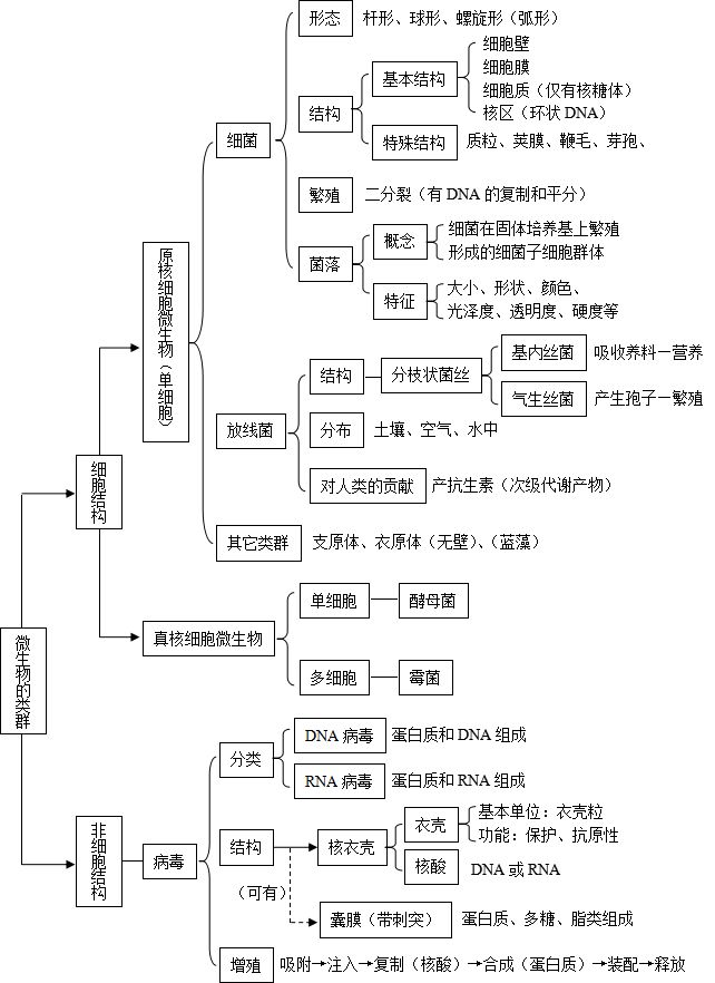 备考高考一轮复习生物知识点生物的新陈代谢