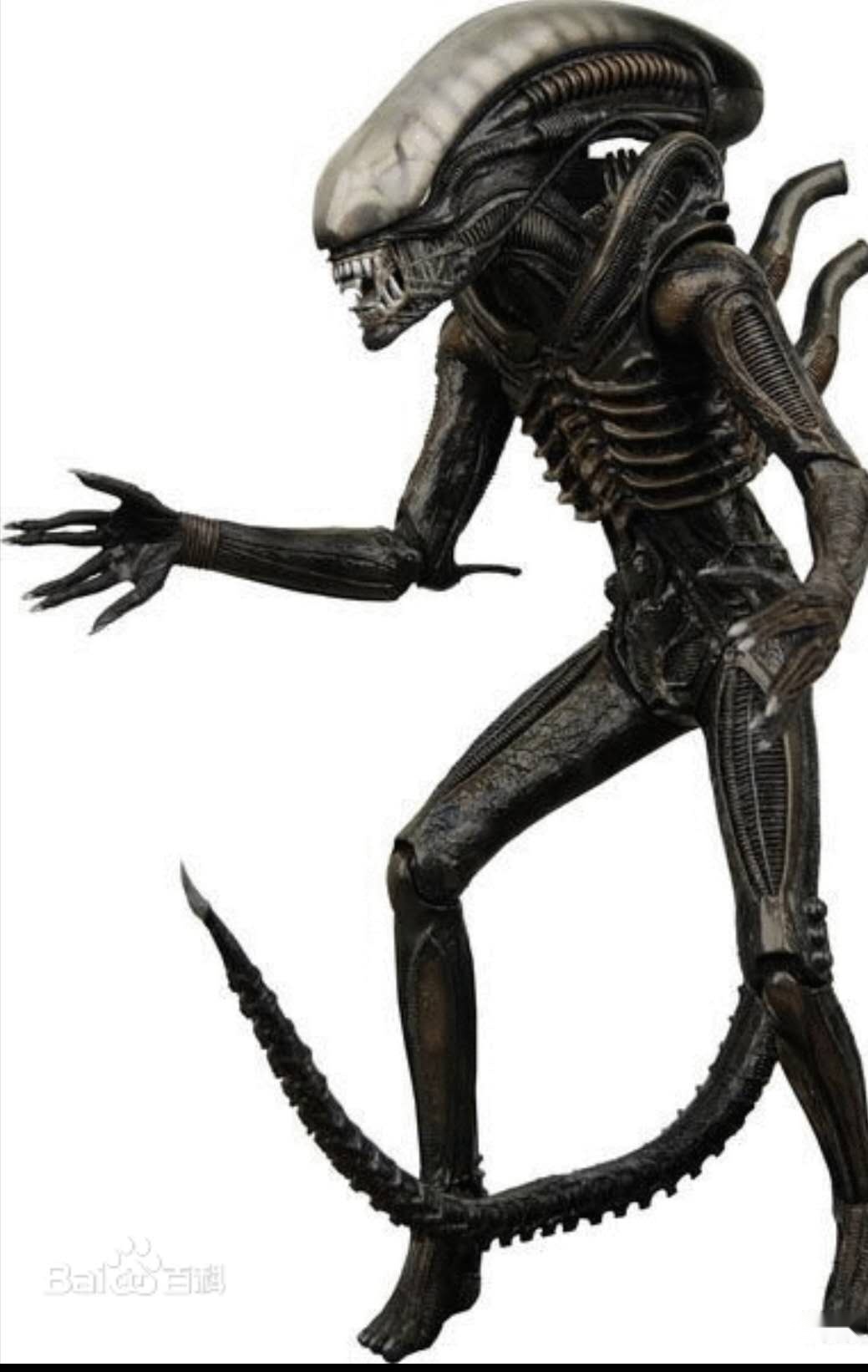 外国异形和中国僵尸对抗,谁能更胜一筹