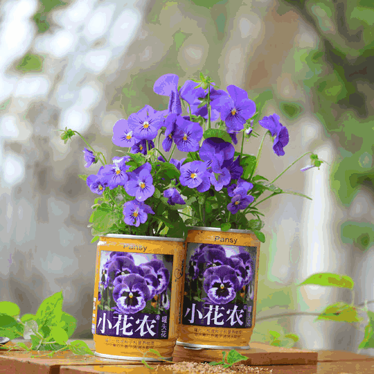 540_540gif 动态图 动图