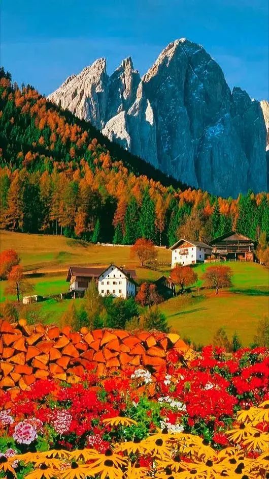 仙境般房子太美太舒适了