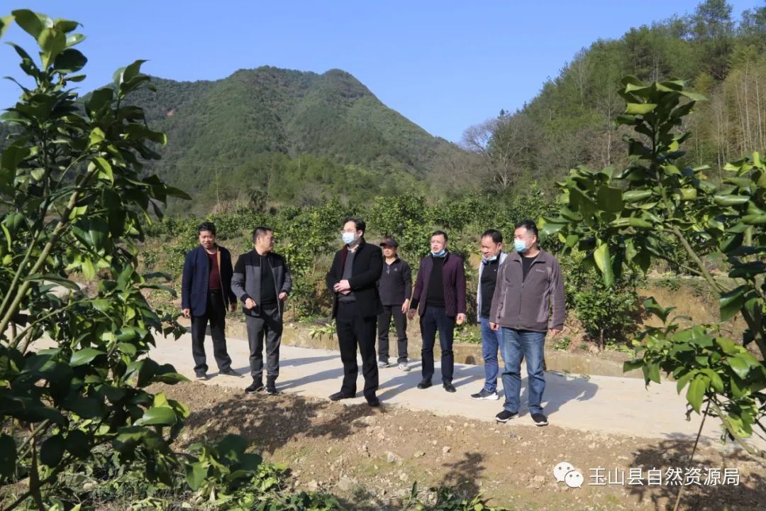 胡巨炜一行实地调研了临湖镇竹岭村马家柚扶贫基地,指出:今年是脱贫