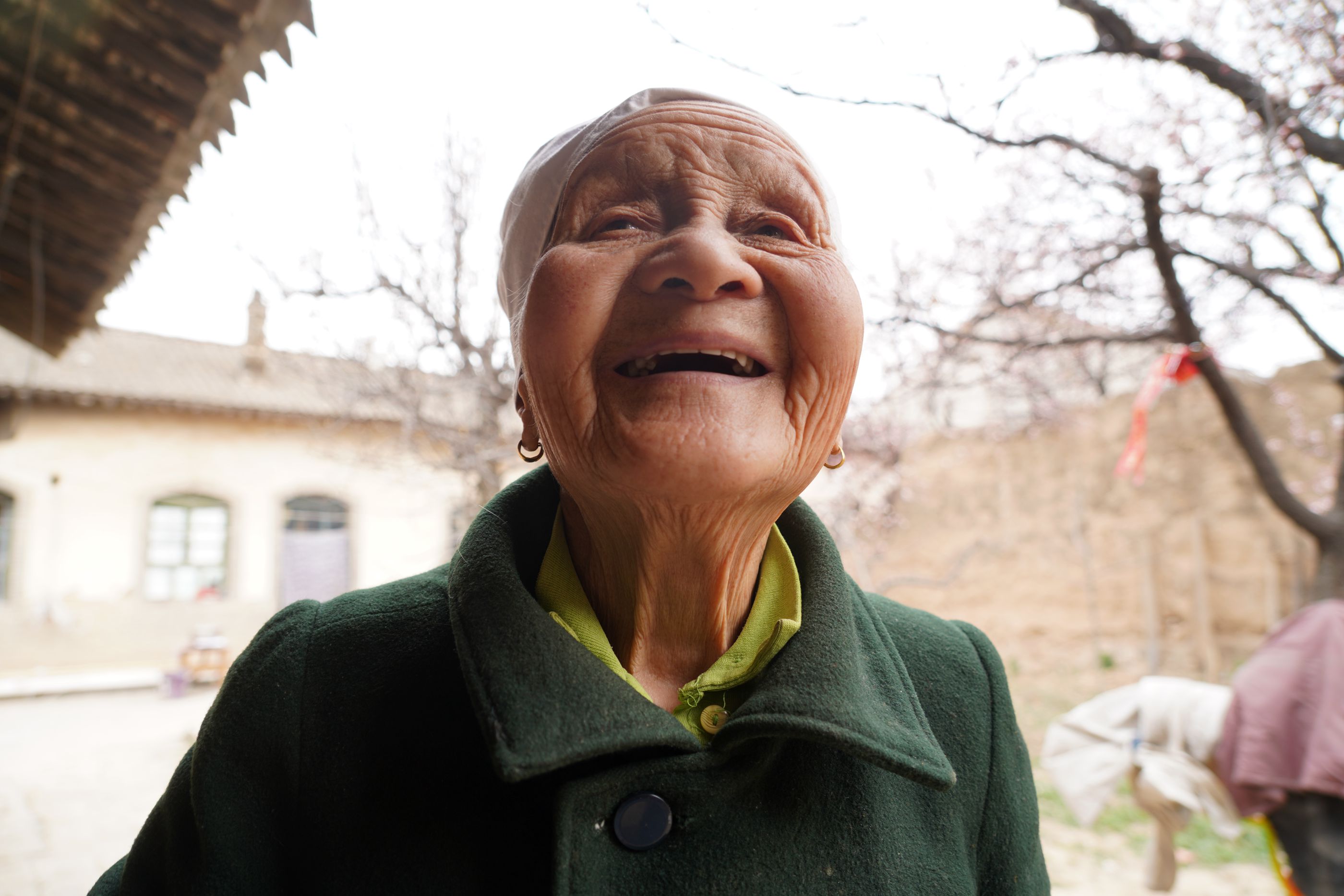 阳春三月,春回大地,万物复苏,山西省晋南农村里的杏花已经开始绽放
