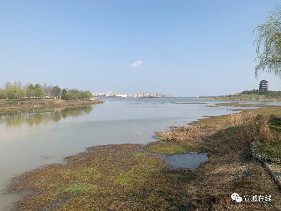 宣城市區幾個踏青點:宛陵湖公園,鰲峰公園,梅溪公園,泥河公園,新港大