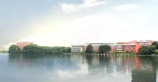 武漢15個(gè)區(qū)“最美中學(xué)”評(píng)選，有你的母校嗎(圖32)