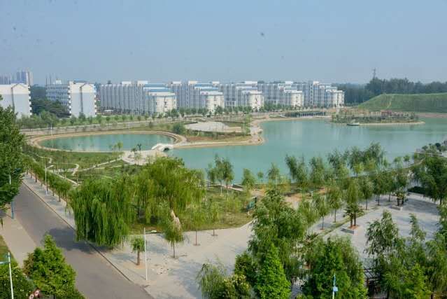 光影周师花开春又归周师等你回