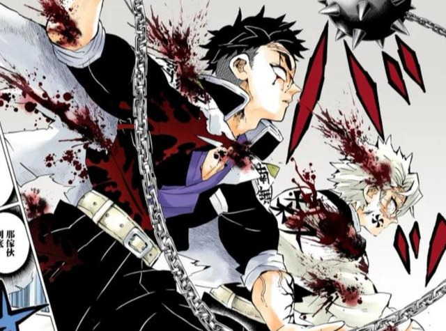 鬼灭之刃大决战中与炭治郎合作的是蛇柱为何不是最强的岩柱