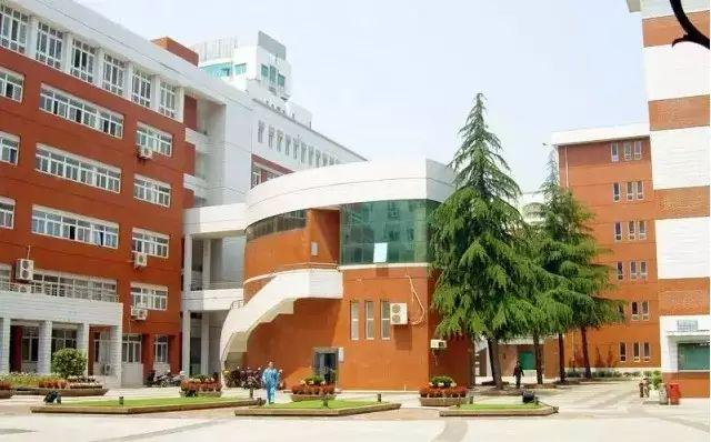 武漢15個(gè)區(qū)“最美中學(xué)”評(píng)選，有你的母校嗎(圖27)