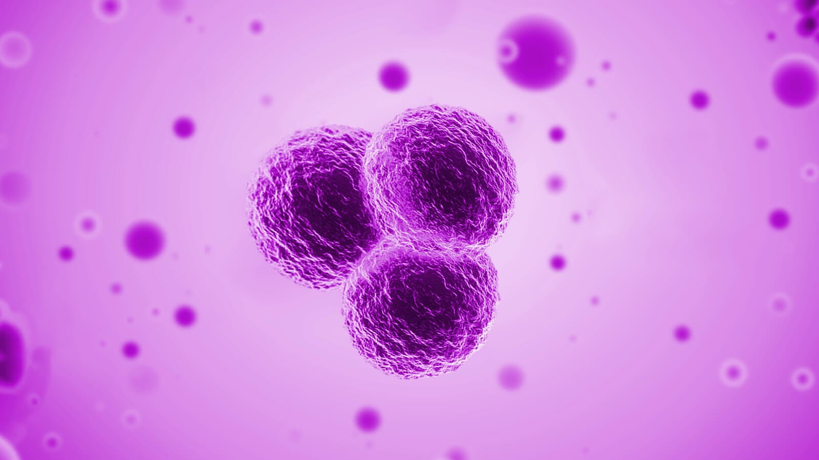 干细胞移植诱导胰岛a细胞向b细胞的转变机制胰岛内分泌细胞起源于前肠