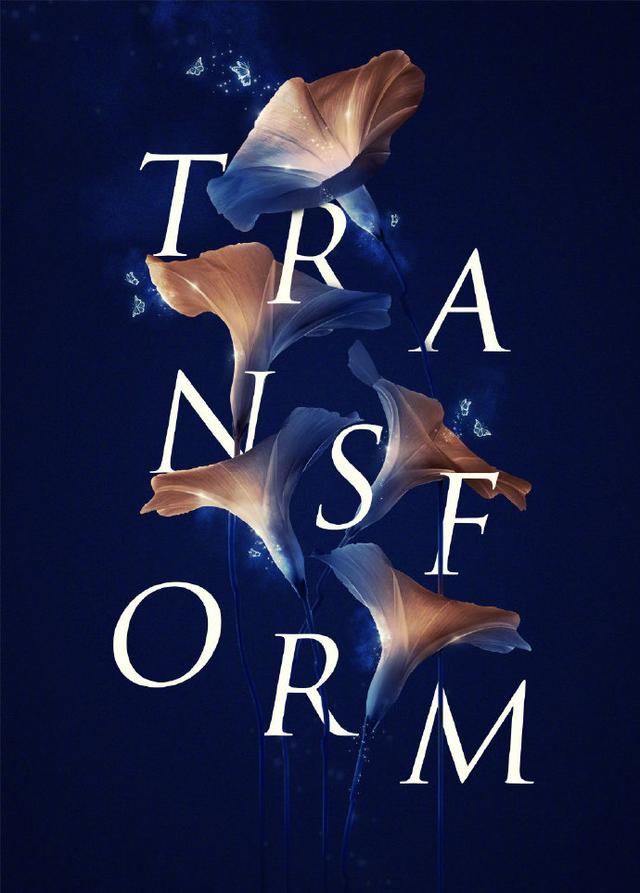 好看的图文穿插海报