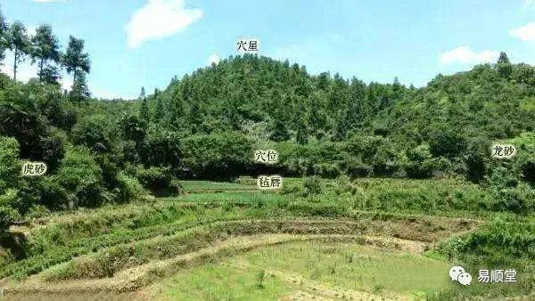 原创风水暴穴牛眠地出达官贵人