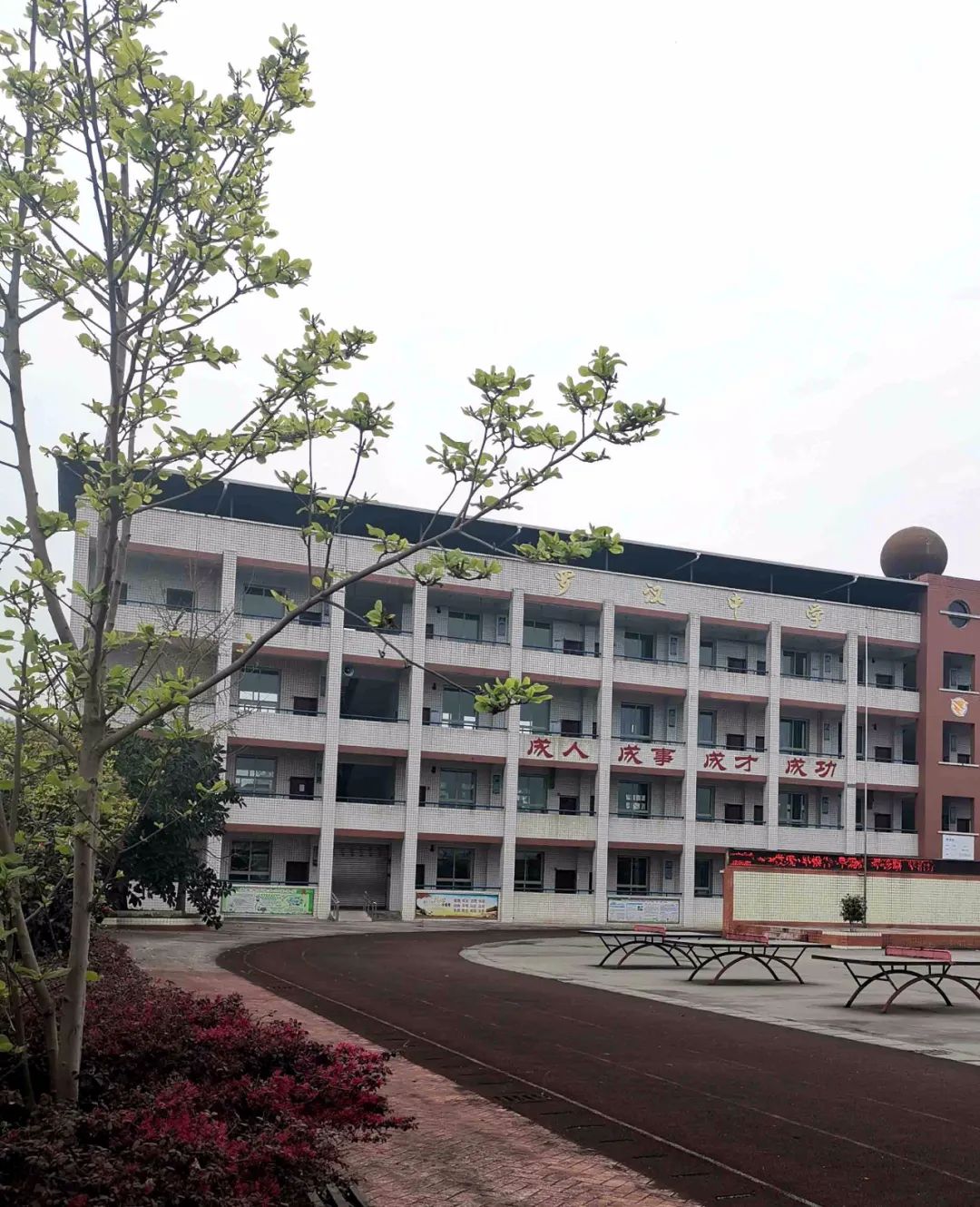 乐山海棠实验小学乐山市龙泓路小学乐山市通江小学市中区青平中心幼儿