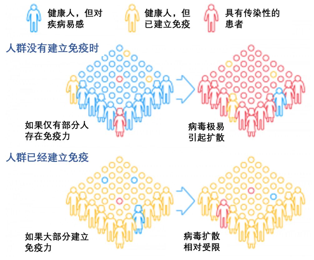 锤爆那些吹捧群体免疫的媒体