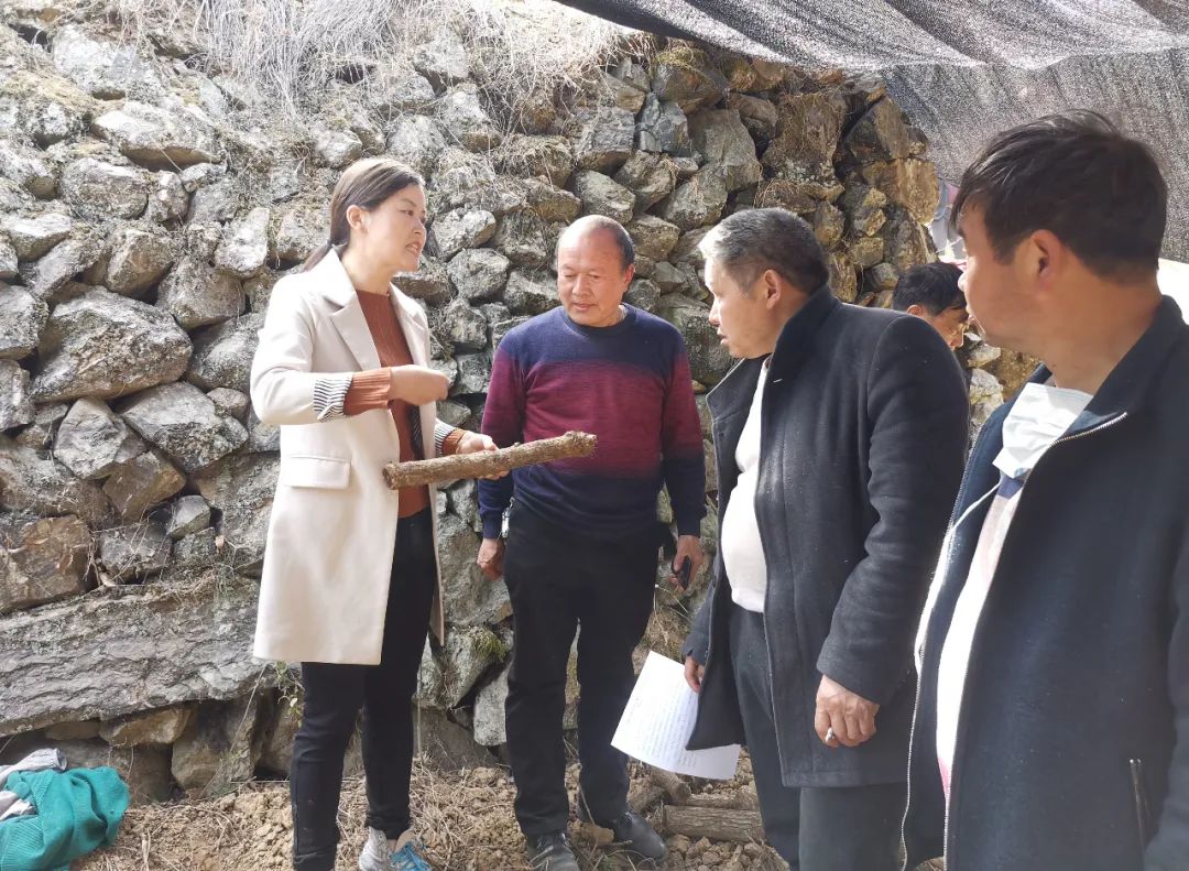 参观燕子砭镇天麻育种中心参观阳平关镇电子社区工厂参观大安镇天麻