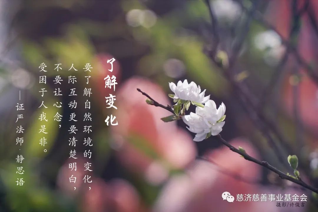 证严法师 静思语-----------------