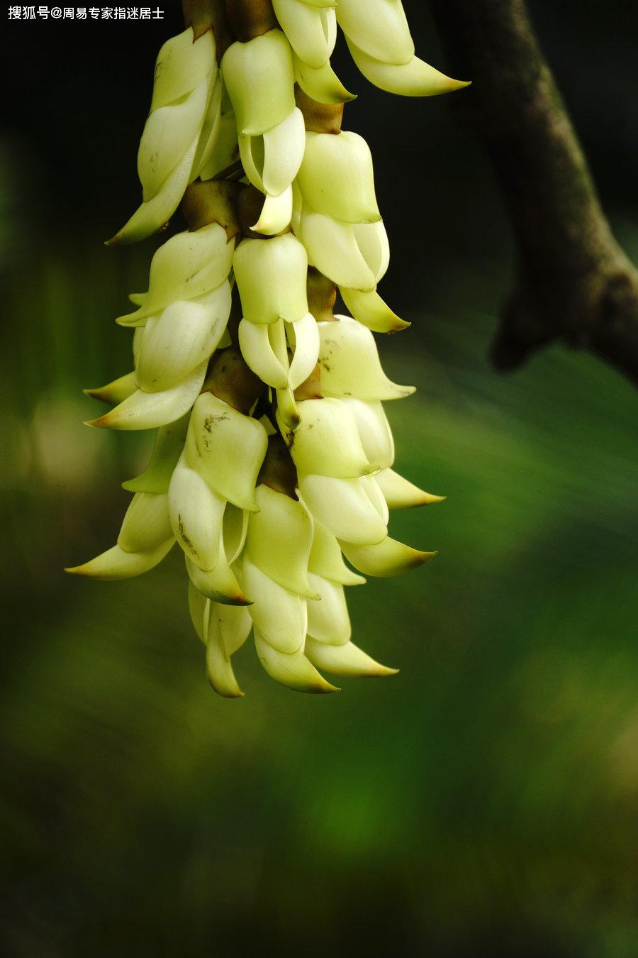3,干事虎头蛇尾眉毛不长不短的,干事洁净拖拉,有理有节,刚柔并济,所以