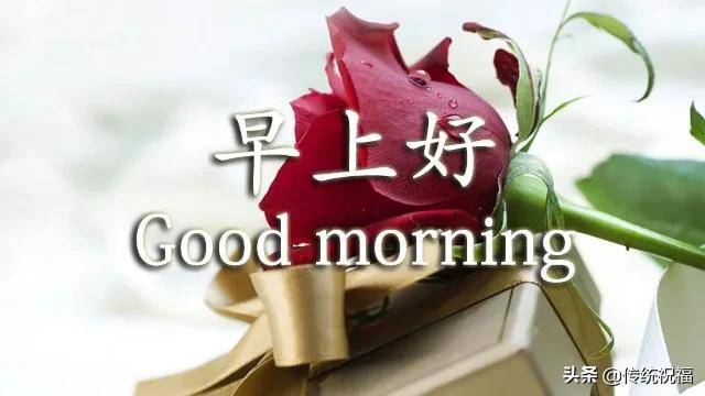 3月15日周末早安短信祝福语早上好早安暖心句子早安问候图片