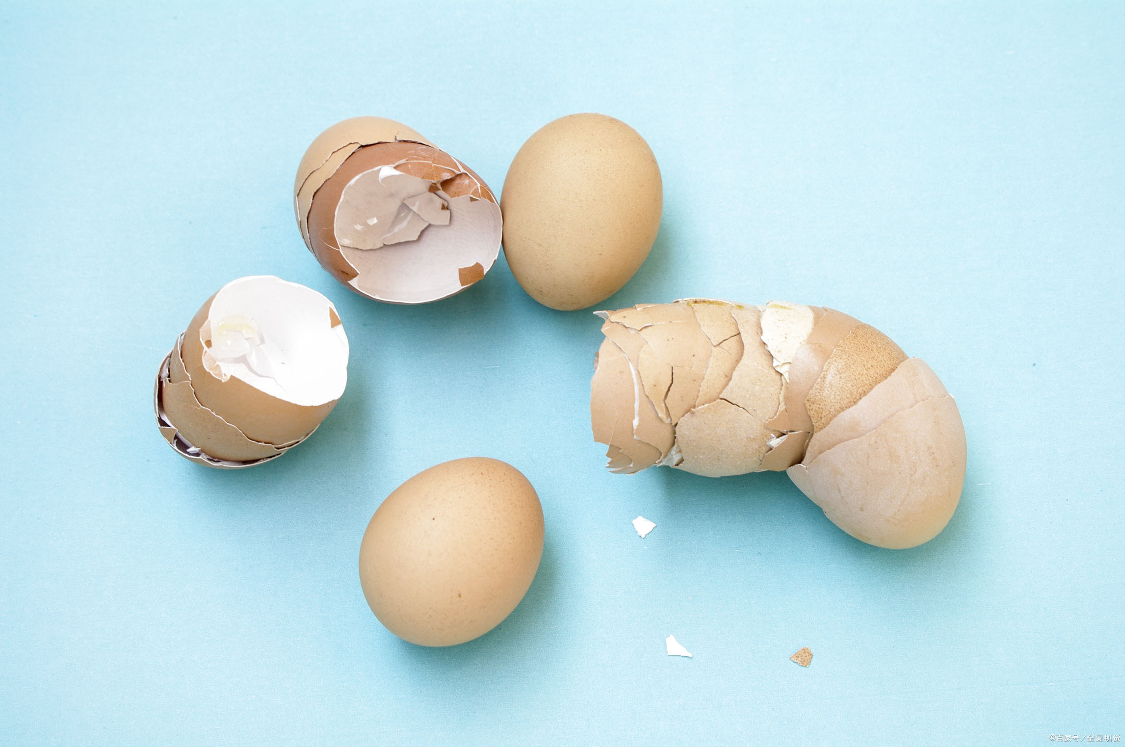 经过代谢之后而产生一种卵壳卟啉的物质,所以产下的鸡蛋