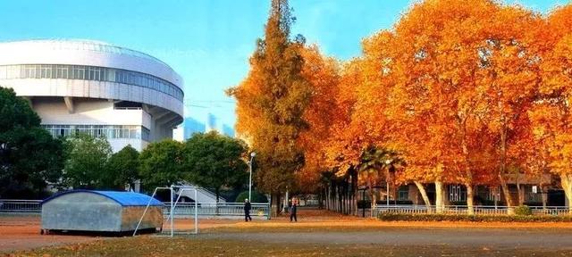 武漢15個(gè)區(qū)“最美中學(xué)”評(píng)選，有你的母校嗎(圖21)