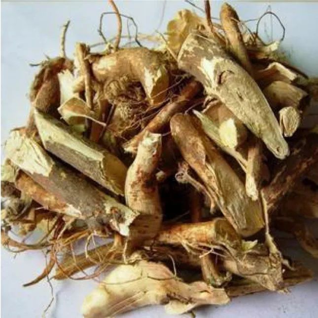 左:断肠草 右:五指毛桃市场上伪劣中药不少,让不少朋友望而却步.