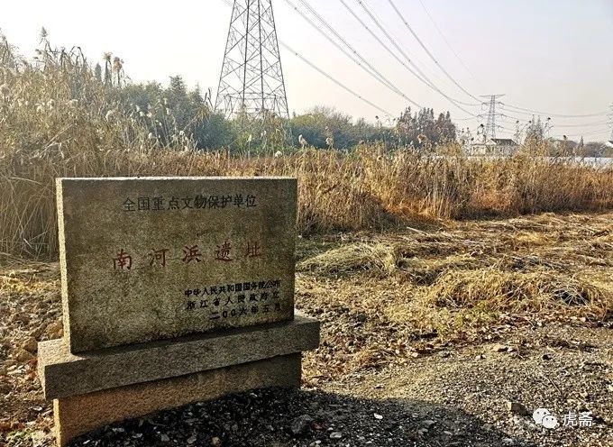 【国保打卡】(4)南河浜遗址(国6)_崧泽