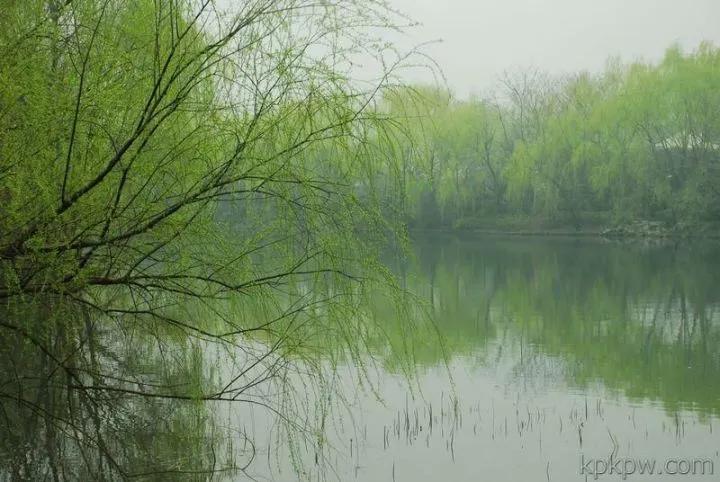 除了碧玉妆成一树高还有一首著名的咏柳诗你知道吗