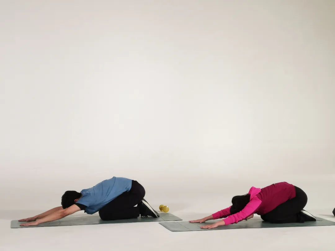 练习二:跪卧伸展