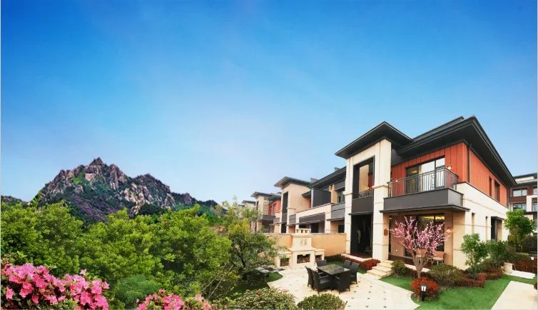 珠山小镇丨手植绿意用心守护为下一季更美的春