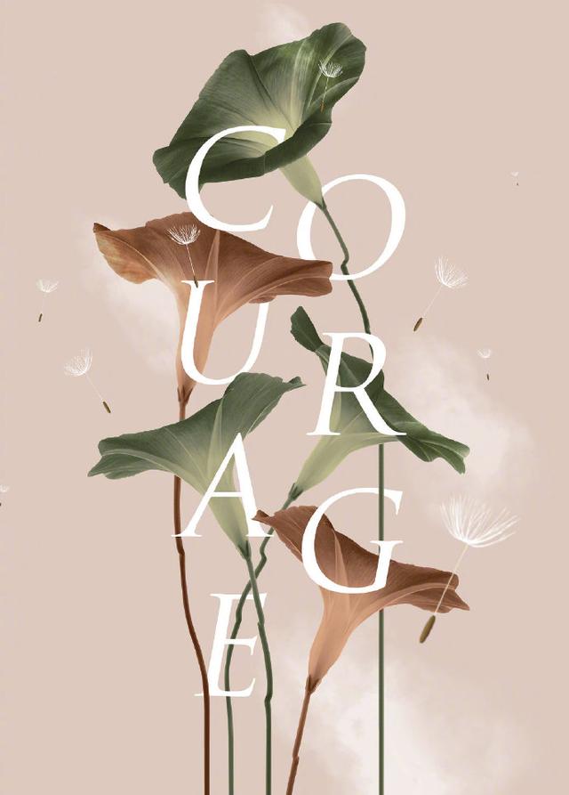 好看的图文穿插海报