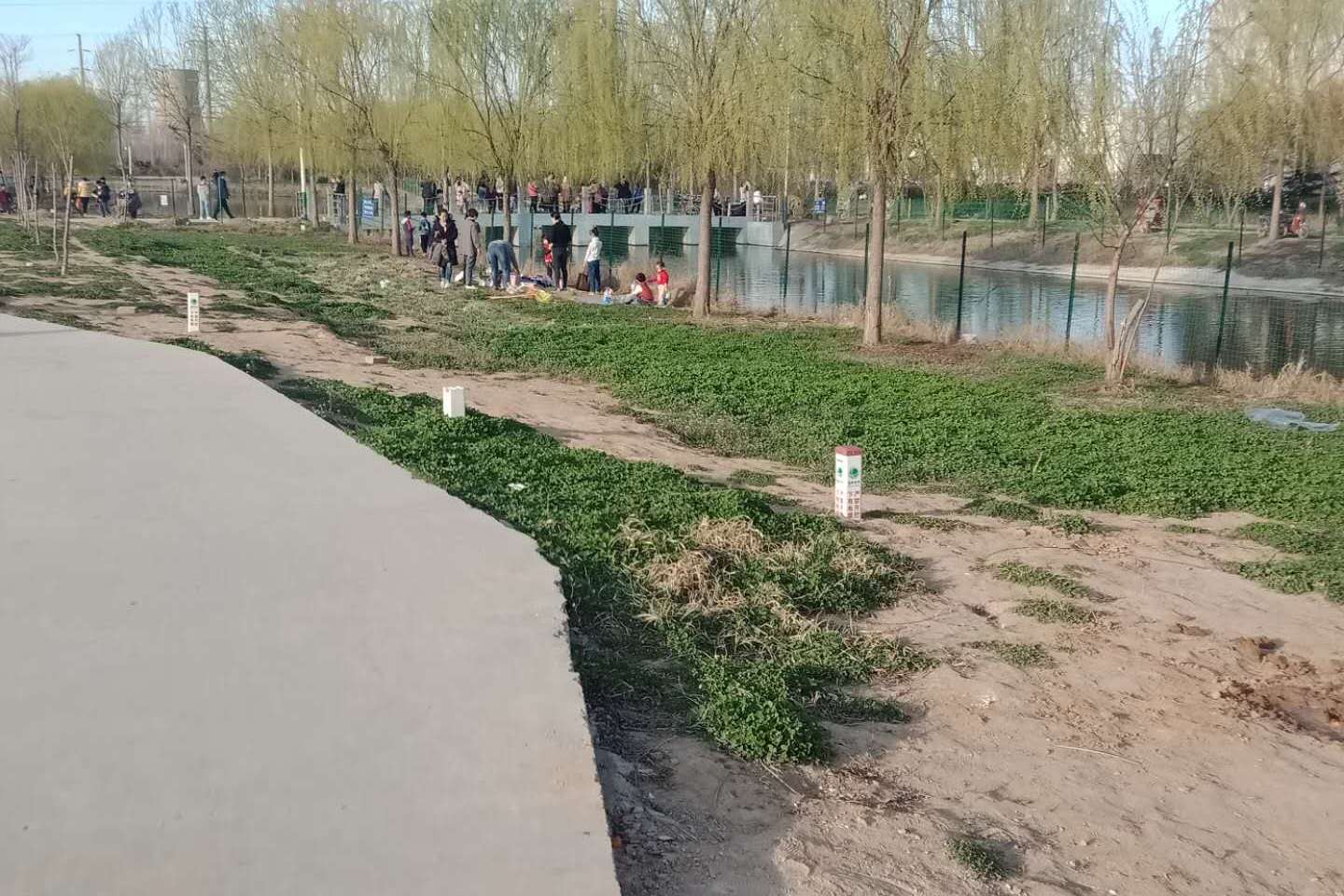 地不语而万物生三月春风吹绿冠县湿地公园