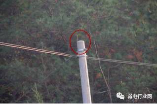 技术通信架空光缆如何施工看完就会架设光缆