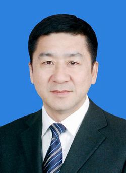 嘉兴市常务副市长徐淼打赢疫情防控复工复产双线战役