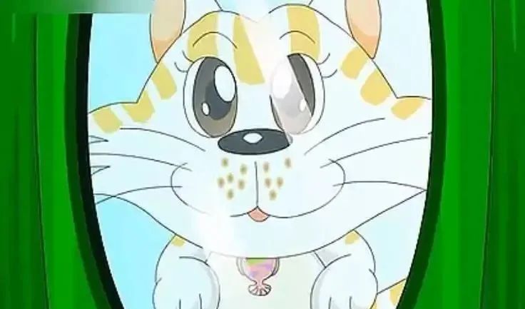 镜子里的小花猫双河湾爱华幼儿园故事会