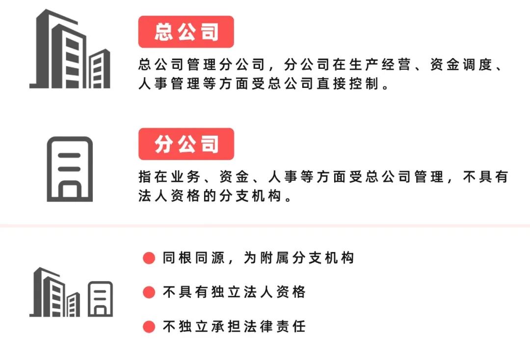 总公司与分公司就像同一棵大树里面树干与树杈的关系:虽有分支,但始终