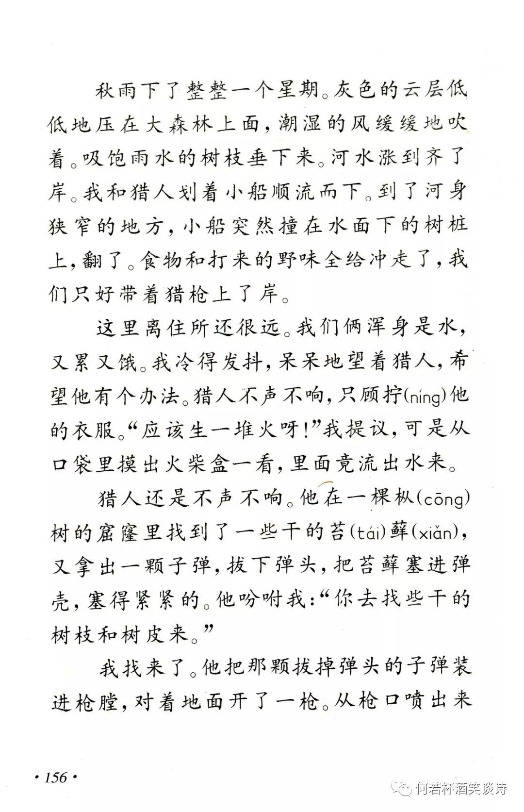 回忆《林中生活》之"大森林的主人"_课文