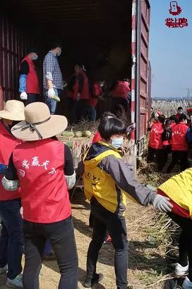 帮帮武鸣这位农民吧掌上武鸣