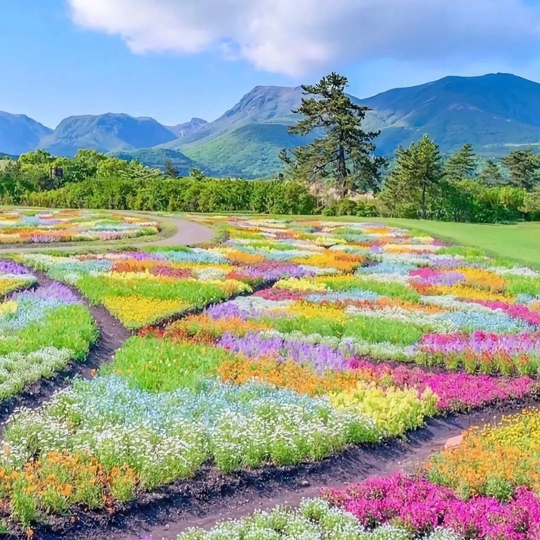 背景图丨我也想被宠的无理取闹